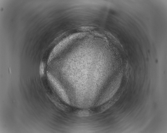 X0000085000075200703261140