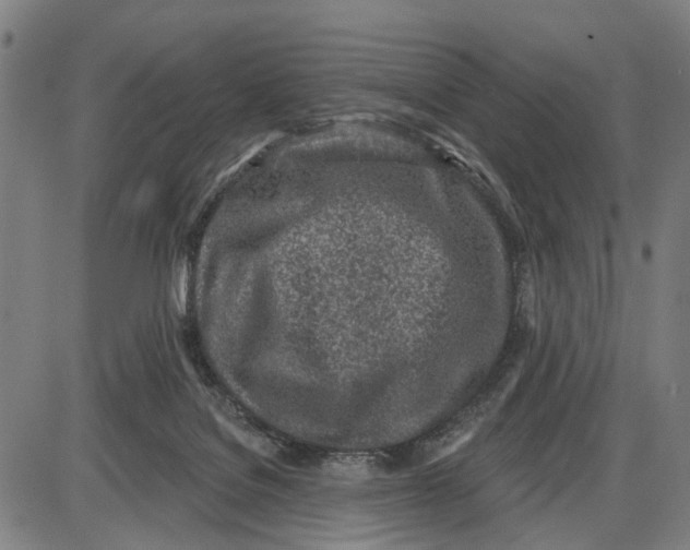 X0000085000076200703261140