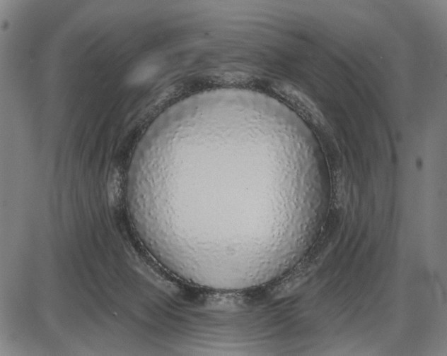 X0000085000077200703261140