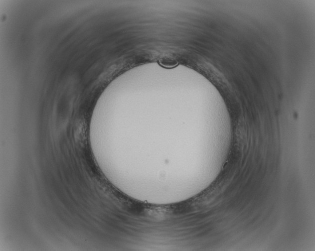 X0000085000079200703261140