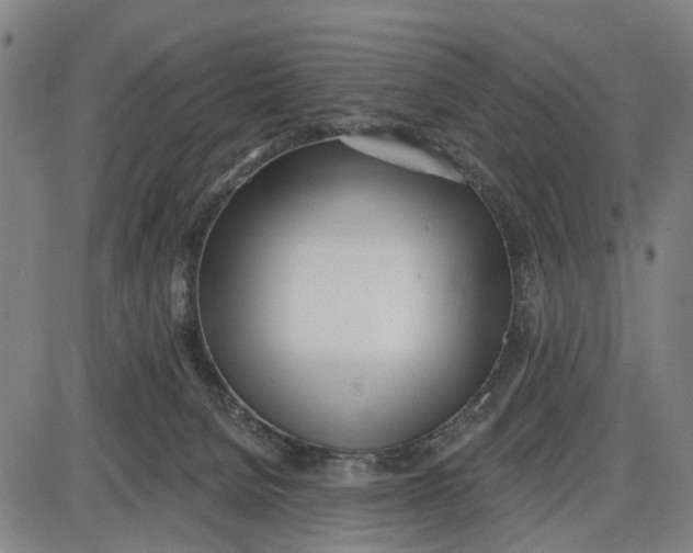 X0000085000080200703261140