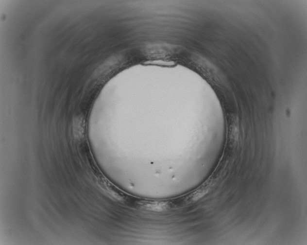 X0000085000081200703261140