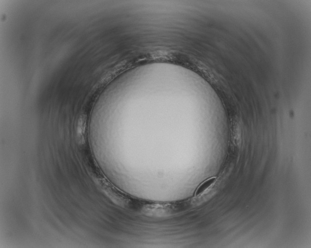 X0000085000082200703261140