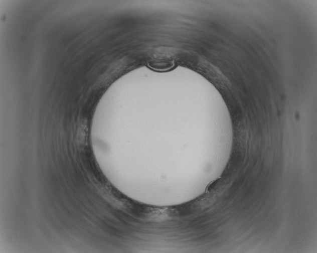 X0000085000083200703261140