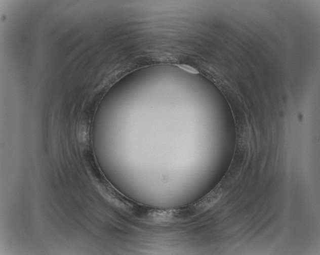 X0000085000084200703261140