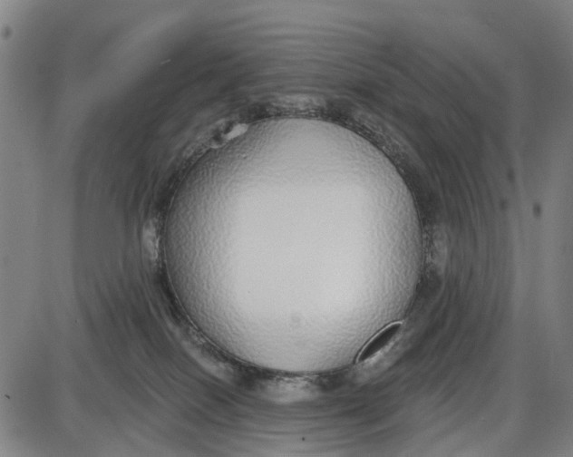 X0000085000086200703261140