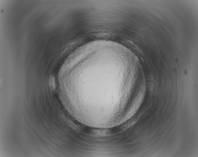 X0000085000089200703261140