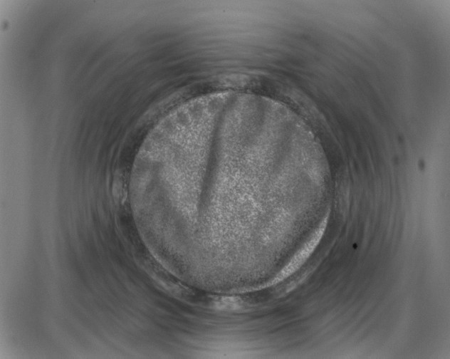 X0000085000091200703261140