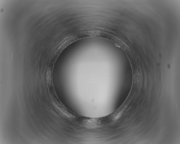 X0000085000092200703261140