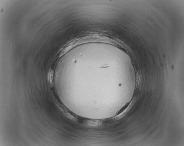 X0000085000094200703261140