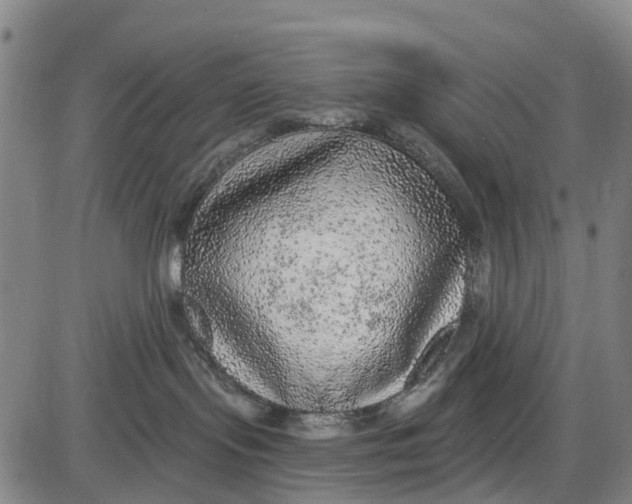 X0000085000095200703261140