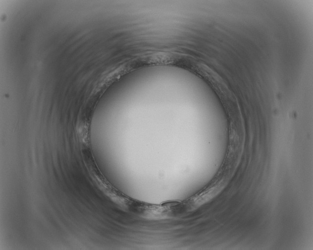 X0000085000096200703261140