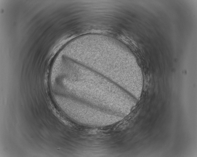 X0000085000098200703261139