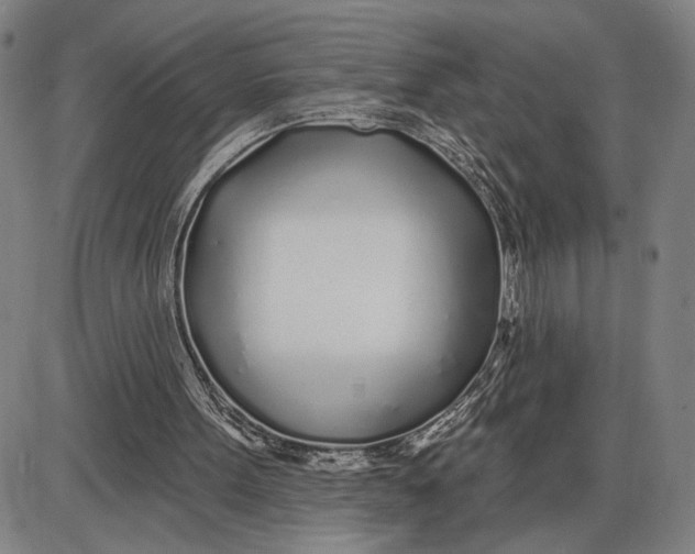 X0000085000099200703261139