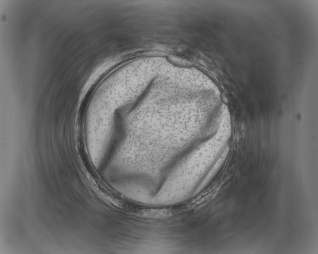 X0000085000102200703261139