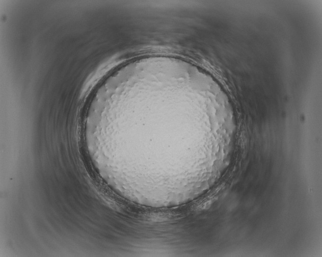 X0000085000103200703261139