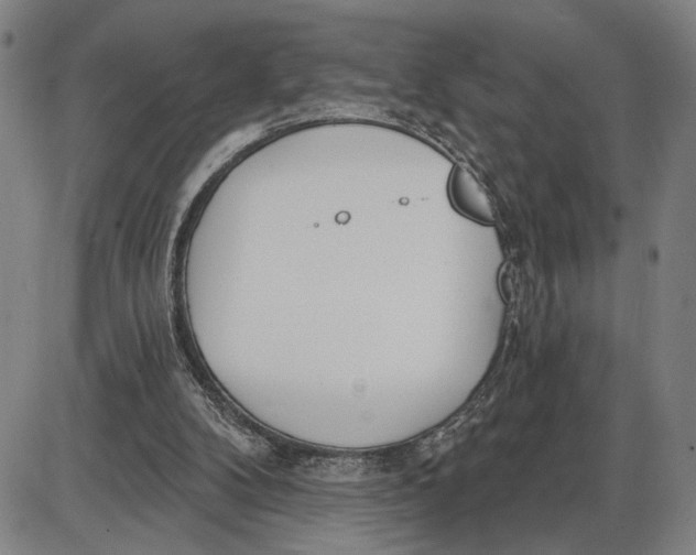 X0000085000104200703261139