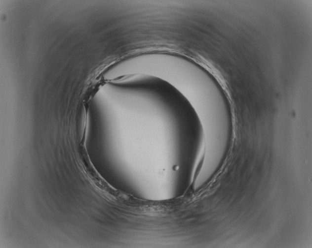 X0000085000105200703261139