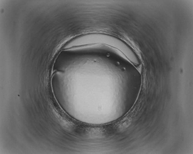 X0000085000107200703261139