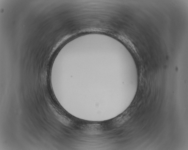 X0000085000108200703261139