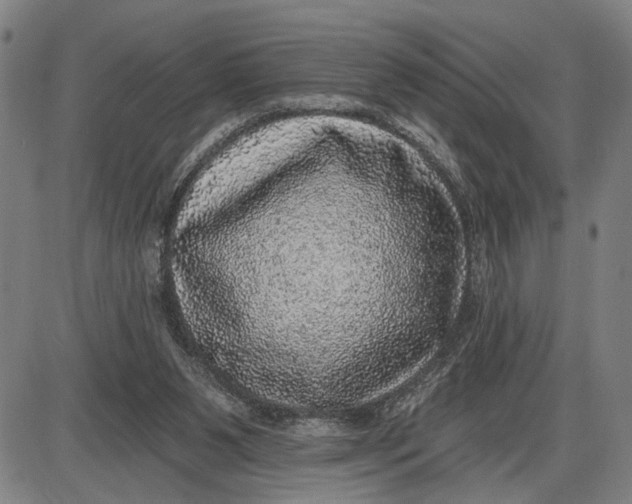 X0000085000111200703261139