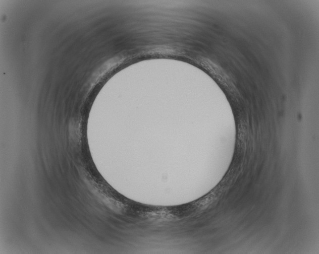 X0000085000112200703261139