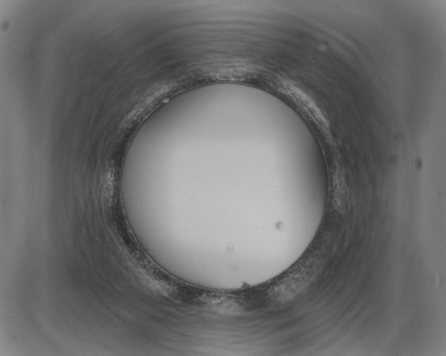 X0000085000113200703261139