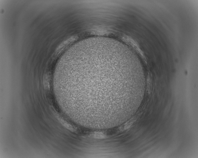 X0000085000114200703261139