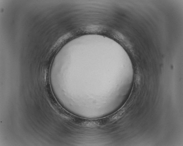 X0000085000115200703261139