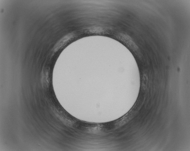 X0000085000116200703261139