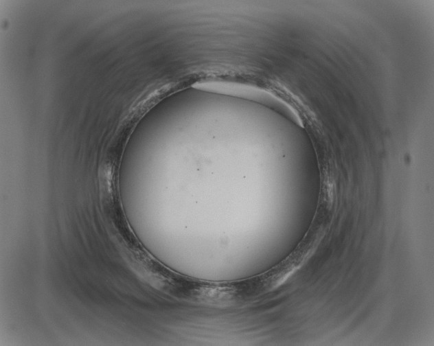 X0000085000117200703261139