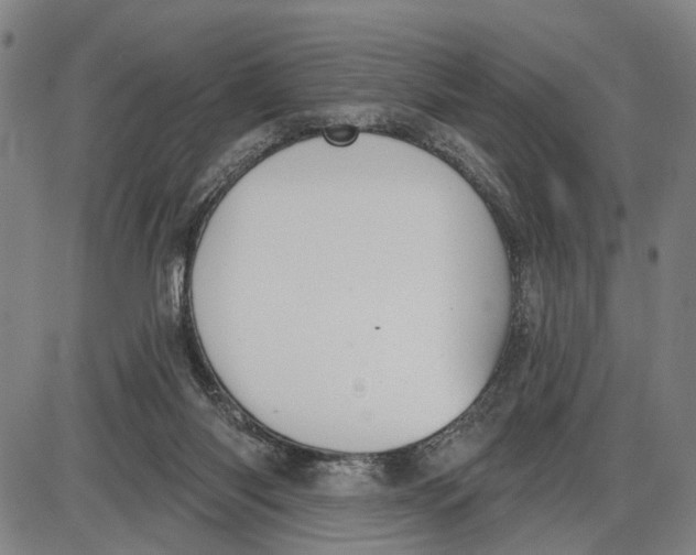 X0000085000118200703261139