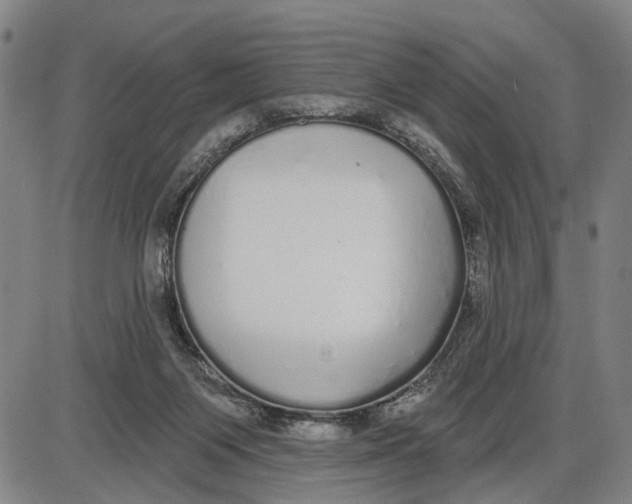 X0000085000119200703261139