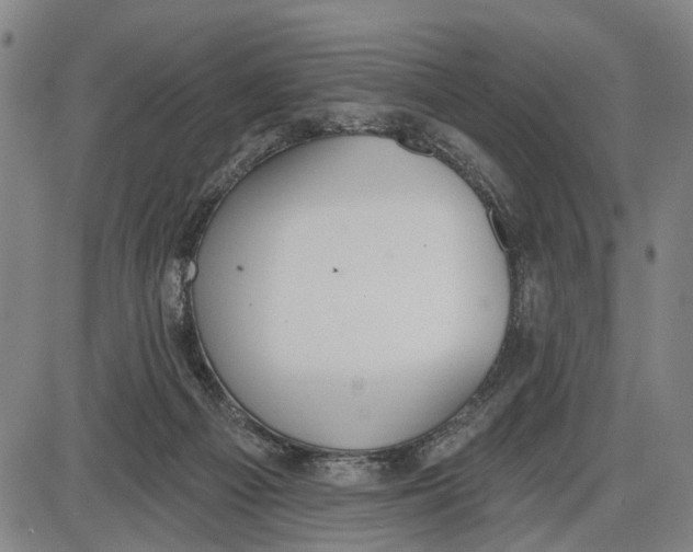 X0000085000121200703261139