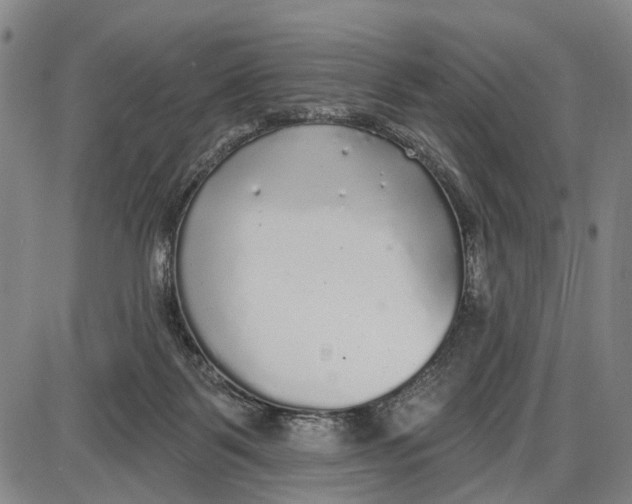 X0000085000123200703261139