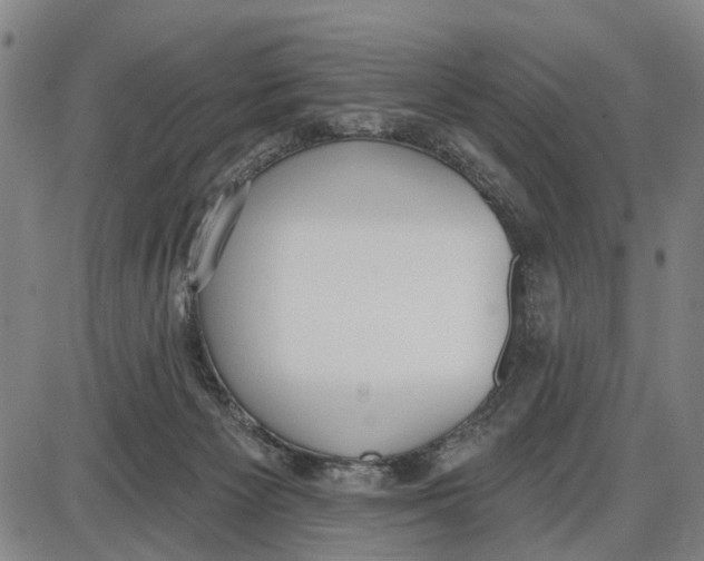 X0000085000125200703261139