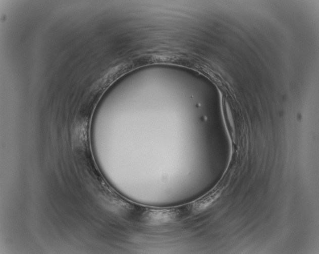 X0000085000127200703261139