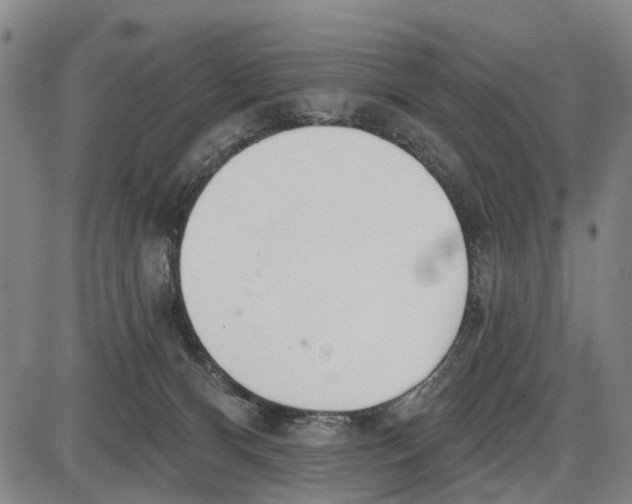 X0000085000128200703261139