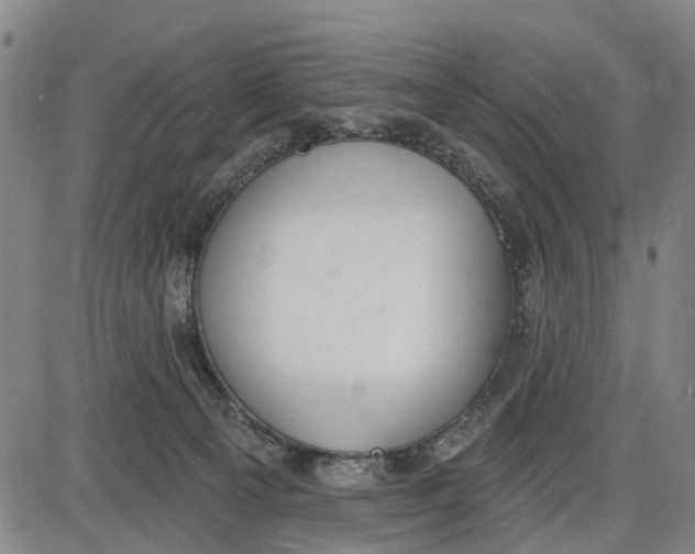 X0000085000129200703261139