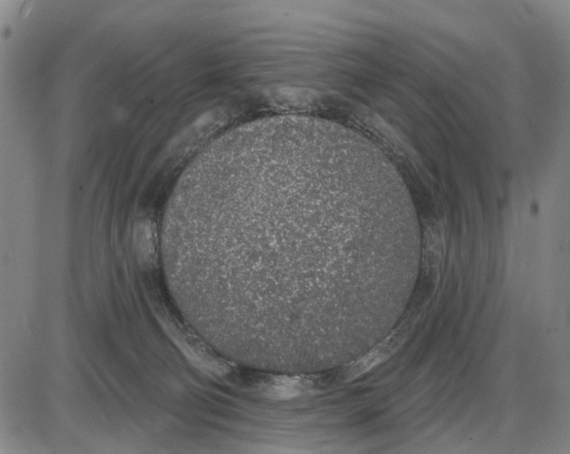 X0000085000130200703261139