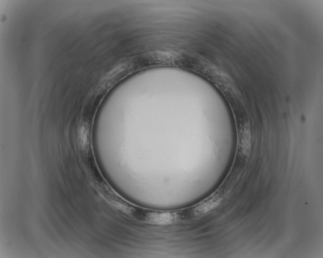 X0000085000131200703261139