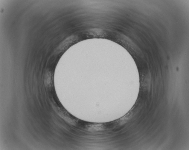 X0000085000132200703261138