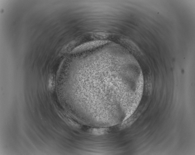 X0000085000134200703261138