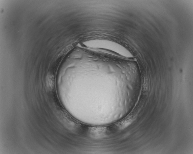 X0000085000135200703261138