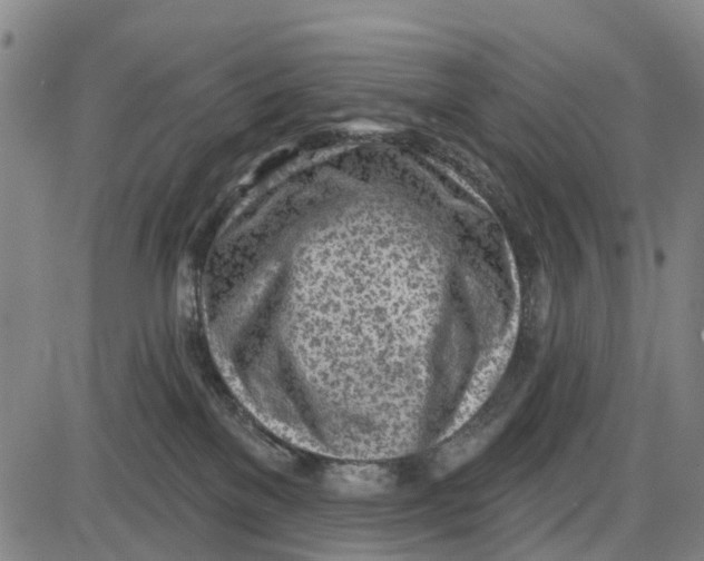 X0000085000137200703261138