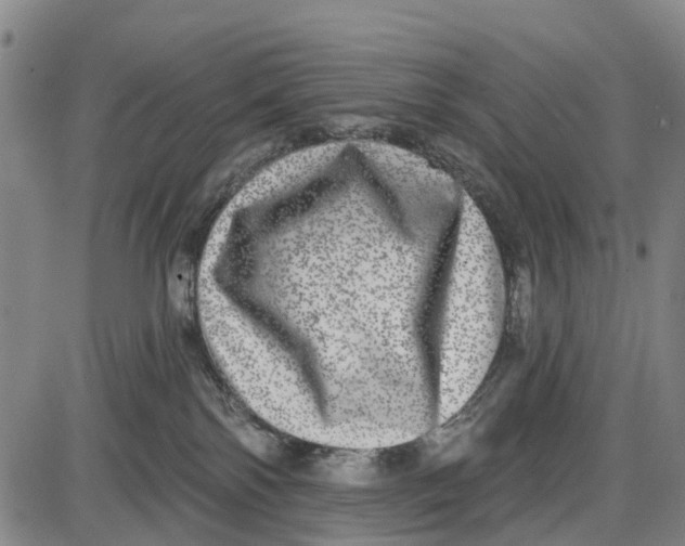 X0000085000138200703261138