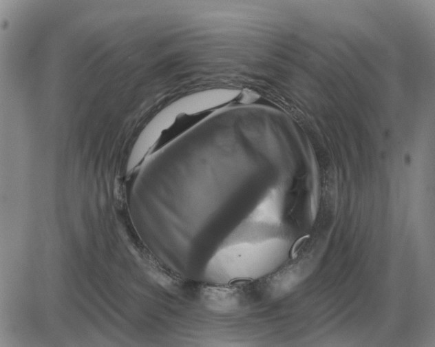 X0000085000139200703261138