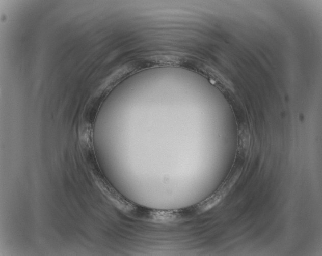 X0000085000141200703261138