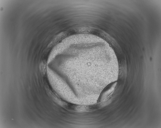 X0000085000142200703261138