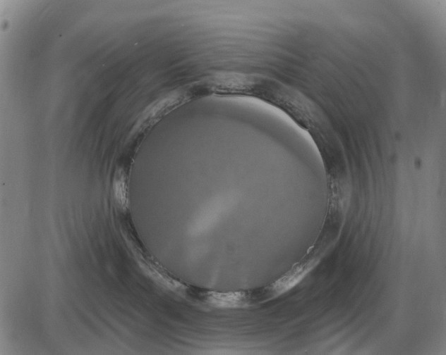 X0000085000143200703261138